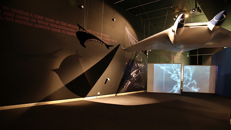 COLANI EXHIBITION \u2014 Design Museum London \u2014 LONDON UK \u2014 2007 | Bangert Projects