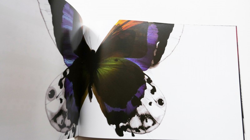 TODD BRACHER EXHIBITION CATALOG, SAO PAULO \u2014 Museu da Casa Brasileira \u2014 Sao Paulo Brazil \u2014 2012 | Bangert Projects