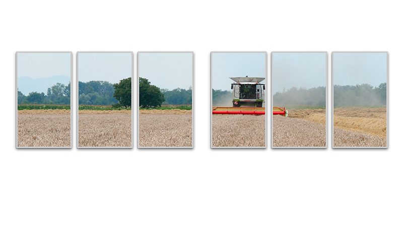 THE ART OF STORYTELLING \u2014 worldwide \u2014 2019 | Bangert Projects