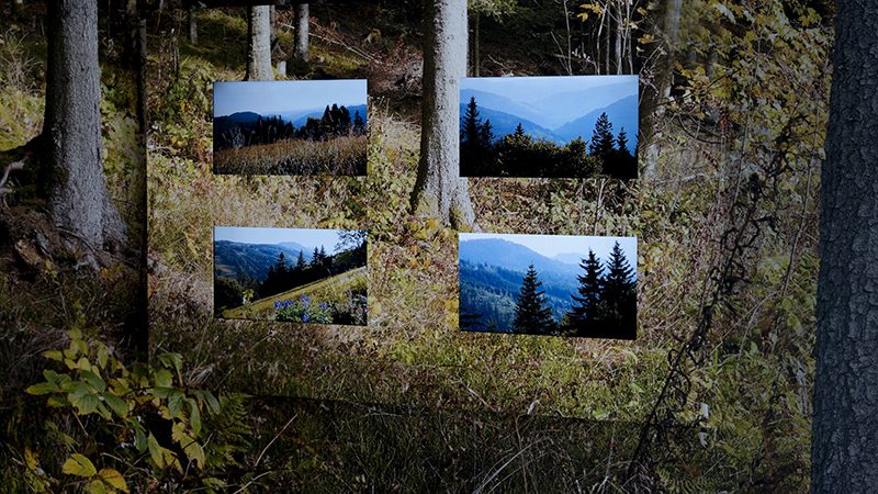 LET MODERN MEDIA INSPIRE \u2014 Badische Staatsbrauerei Rothaus AG \u2014 Rothaus, Germany \u2014 2019 | Bangert Projects